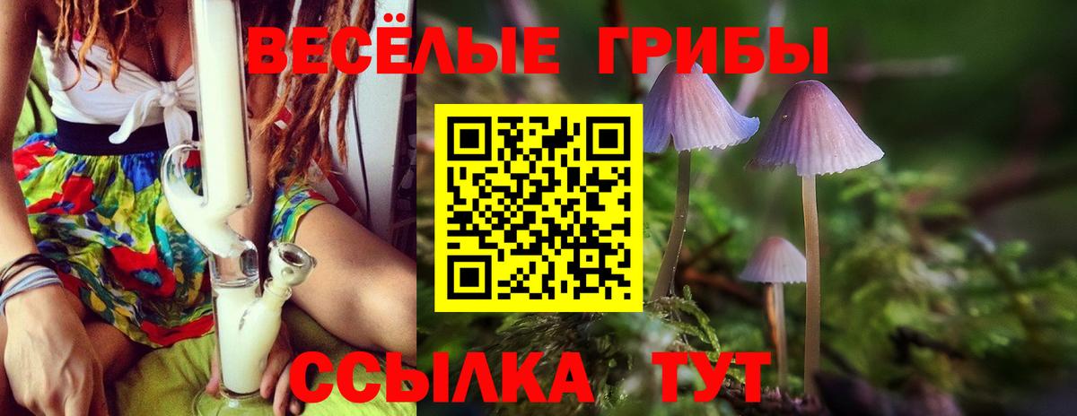 Братск  Псилоцибиновые грибы мицелий  Галлюциногенные грибы мицелий  купить наркоту  Вход с VPN 